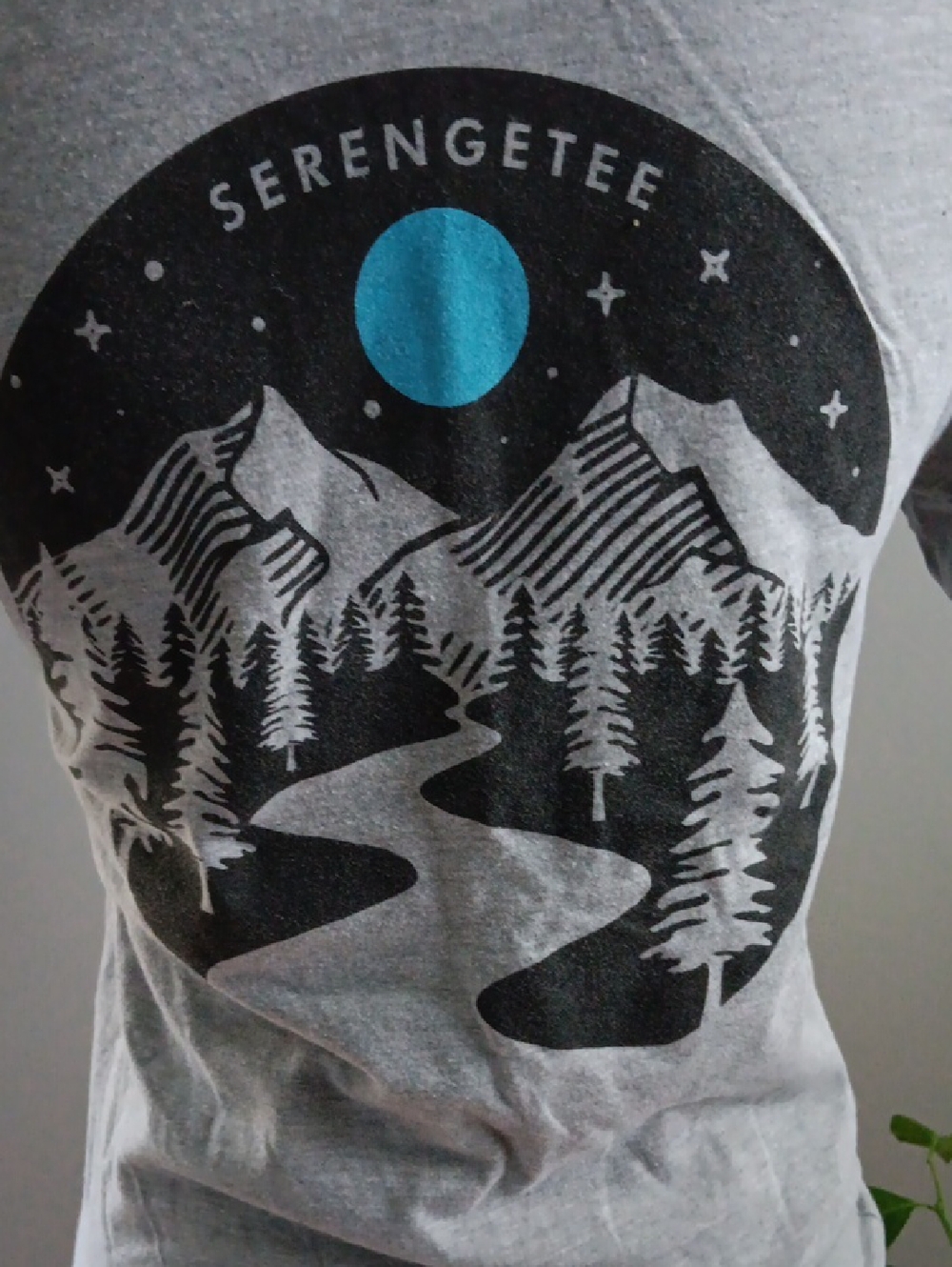 Serengetee Gray Short Sleeve T-shirt - S